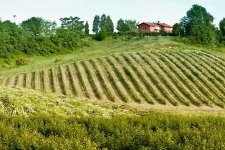 Il Pino Bioagricoltura בית חווה